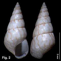 3394-1.jpg (102279 bytes)