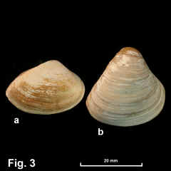 8222-1.jpg (419510 bytes)