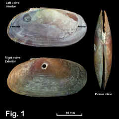 8324-1.jpg (655040 bytes)