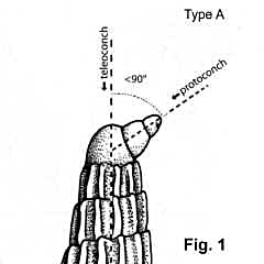 7245-1.jpg (116606 bytes)