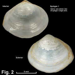 8339-1.jpg (461752 bytes)