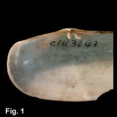 8347-1.jpg (501115 bytes)